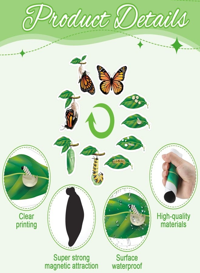Relaxweex 9 Pcs Magnetic Butterfly Life Cycle Toys for Kid Caterpillar to Monarch Butterfly Growth Cycle Toy Insect Figures for Kids Education Preschool Classroom Insect Themed Teaching Tools Supplies - Image 3